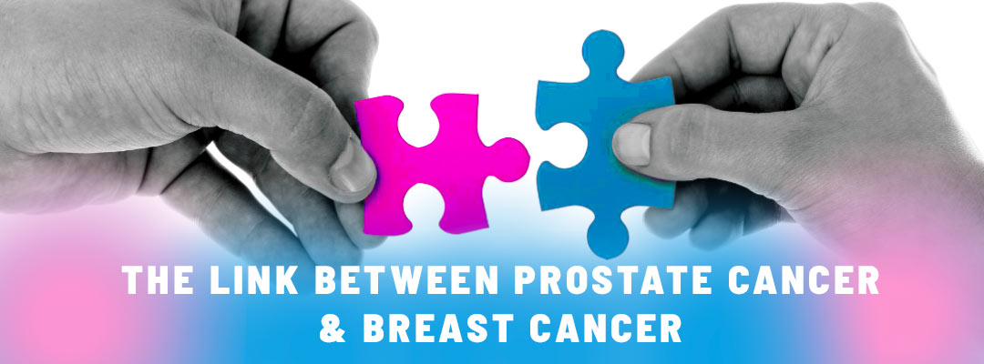 The link between breast and prostate cancer