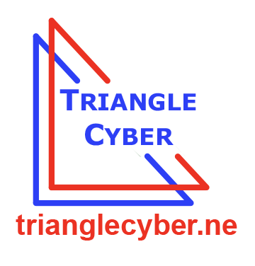 Sponsor 5C: Silver: Triangle Cyber