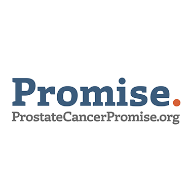 Sponsor 5C: Support: The Promise Study